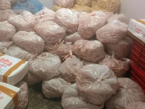 Hà Nội: Gần 1 tấn chân gà, thịt trâu bẩn bị thu giữ